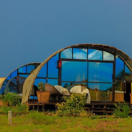 ホテル Little Amanya Camp アンボセリ エクステリア 写真